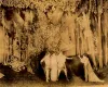 A scene from "A Midsummer Night's Dream"